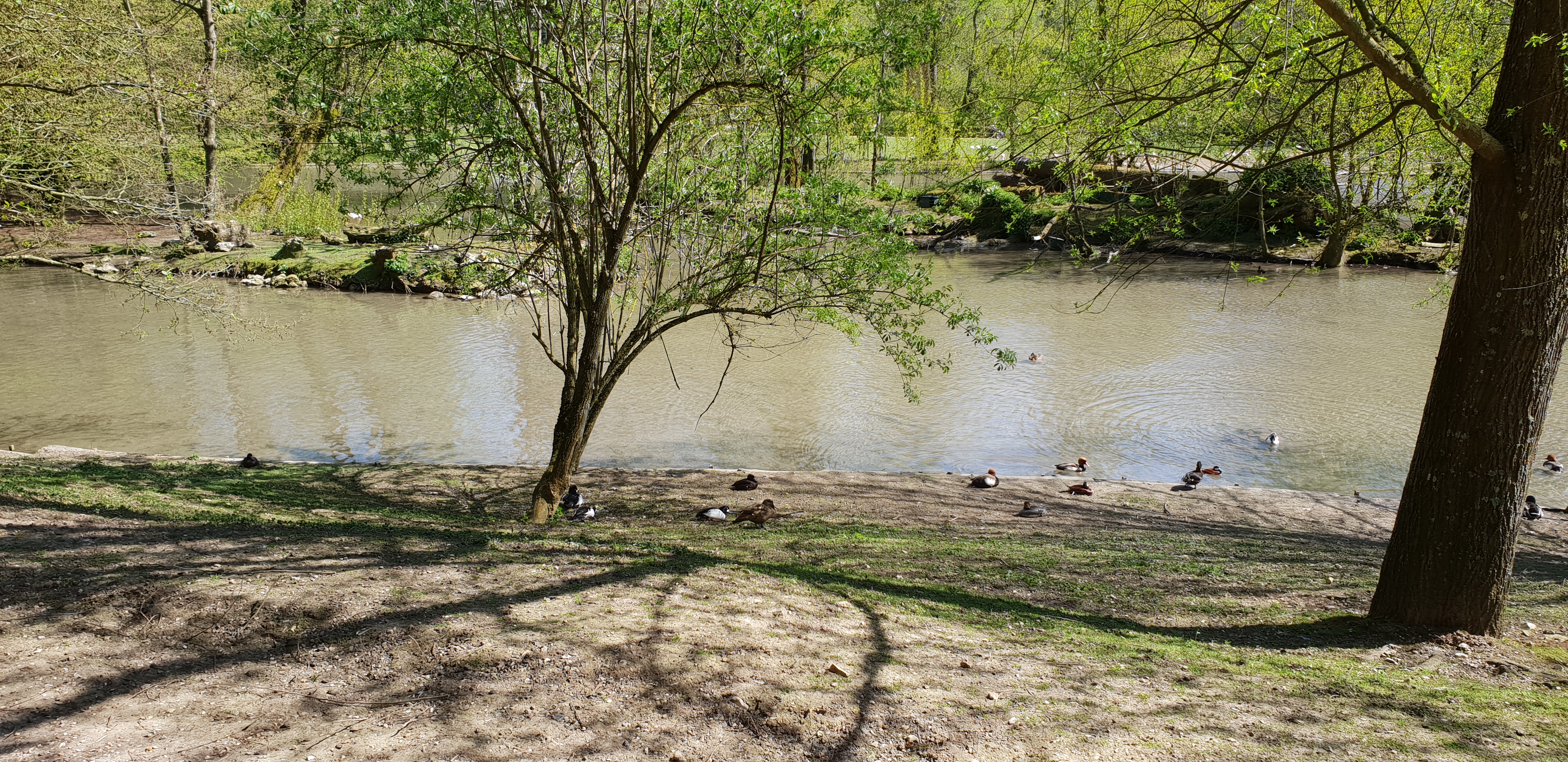 Photo n° 4 de l'avis de Dominique.A fait le 18/04/2018 à 14:35