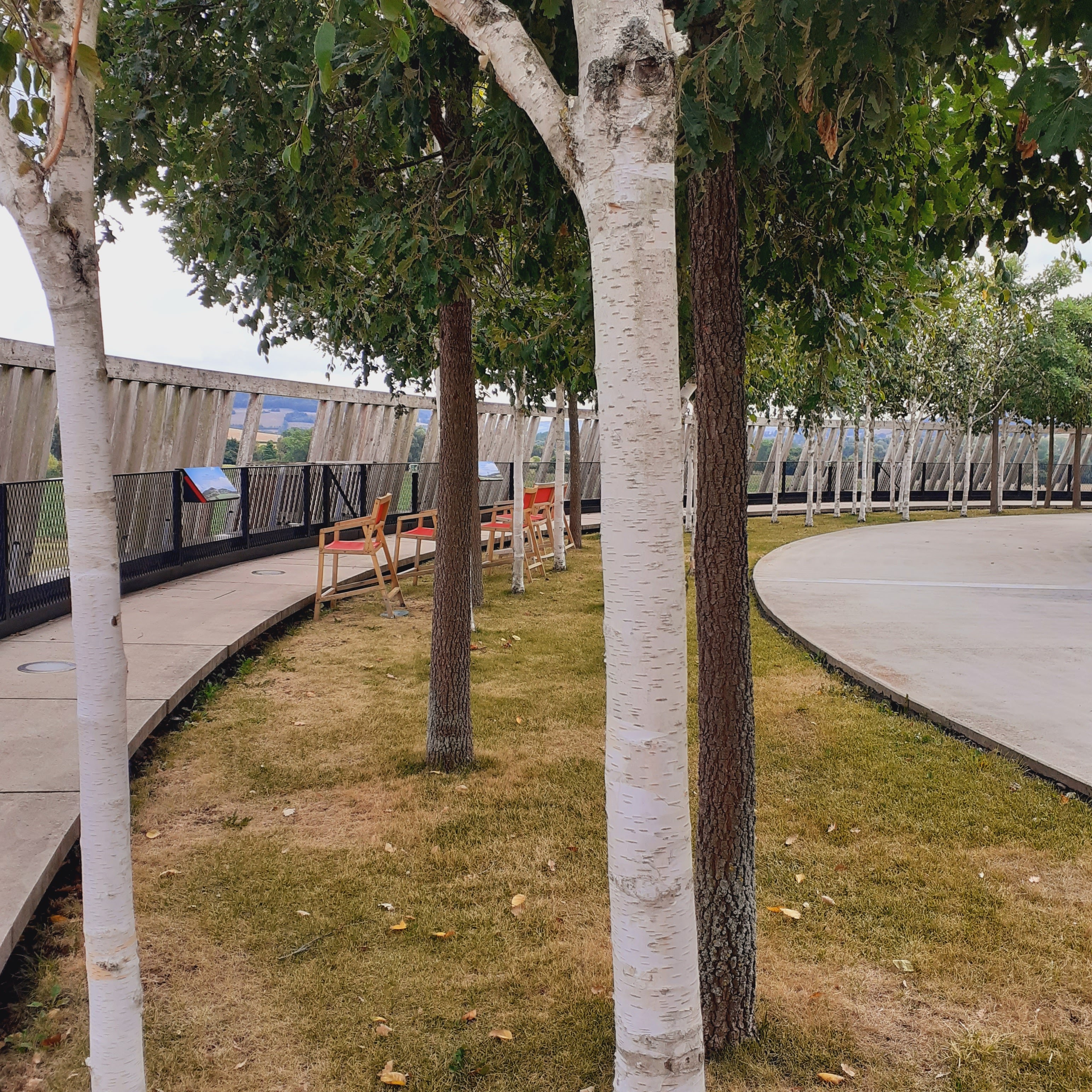 Photo n° 3 de l'avis de Marion. fait le 18/08/2022 à 16:52