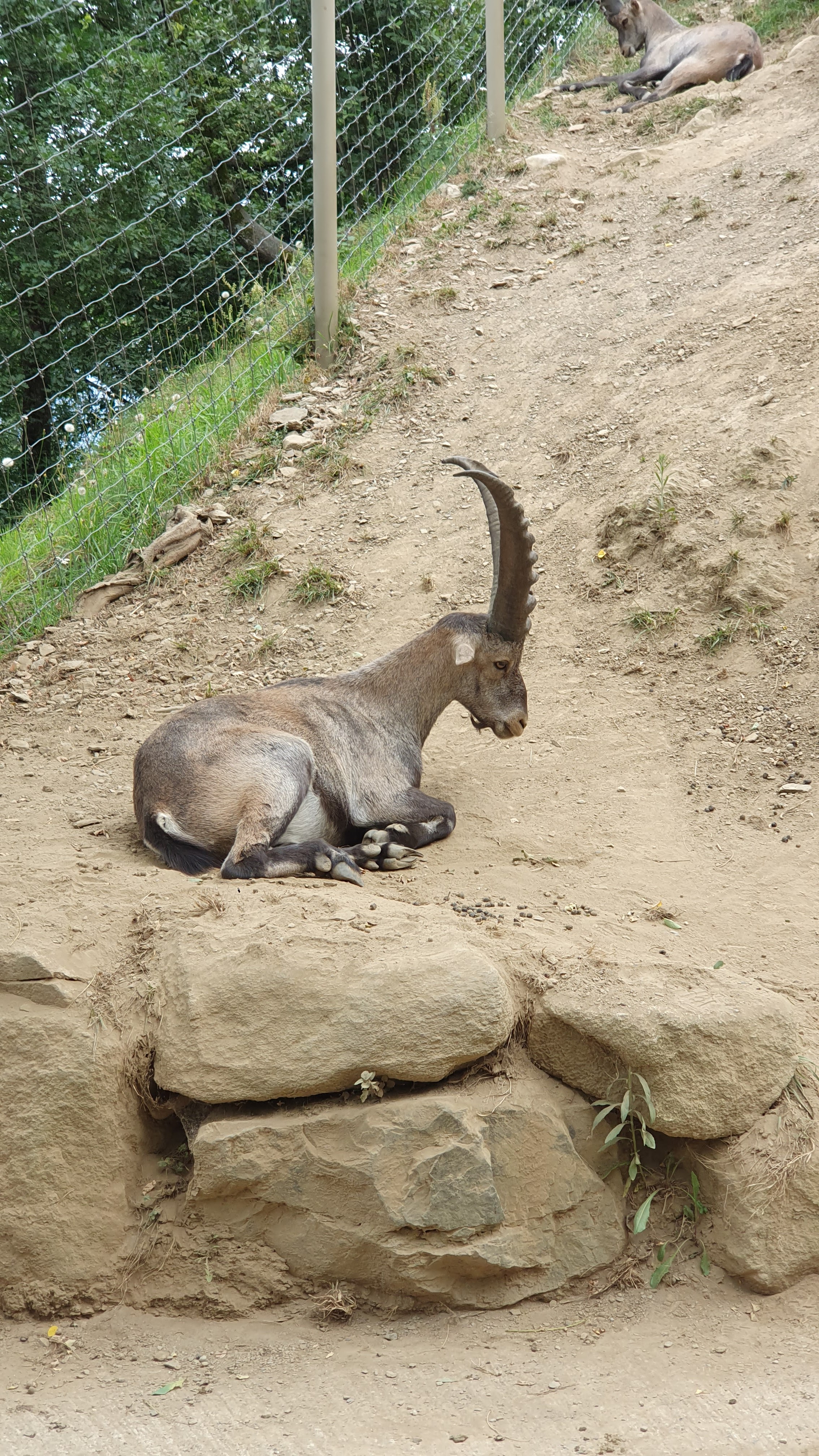 Photo n° 6 de l'avis de Jeremy.i fait le 14/08/2023 à 19:48