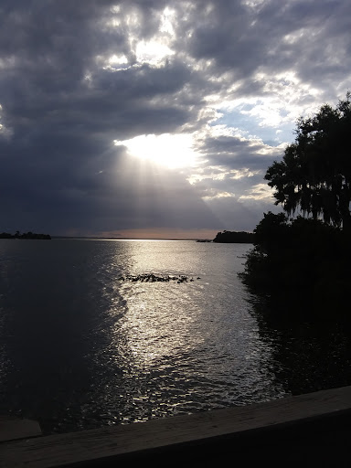 Grocery Store «Save-A-Lot», reviews and photos, 1544 Lakeview Dr, Sebring, FL 33870, USA