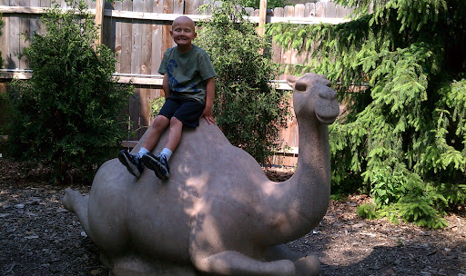 Zoo «Hamill Family Play Zoo», reviews and photos, 3300 Golf Rd, Brookfield, IL 60513, USA