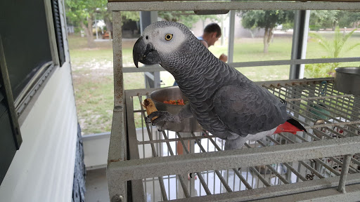 Bird Shop «BirdFarm Superstore», reviews and photos, 6360 Suncoast Parkway, Homosassa, FL 34446, USA