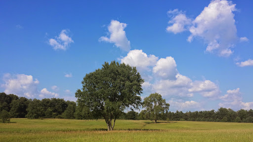 Nature Preserve «Al Sabo Land Preserve», reviews and photos, 6310 Texas Dr, Kalamazoo, MI 49009, USA