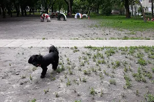Újváros park kutya játszótér image