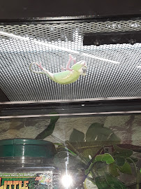 Petco - Photo 6 - Car repair in Cleveland, OH, Cleveland