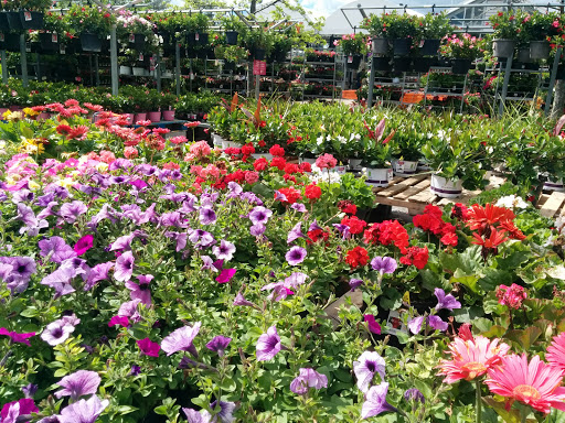 Home Improvement Store «The Home Depot», reviews and photos, 100 1st Ave, Waltham, MA 02451, USA