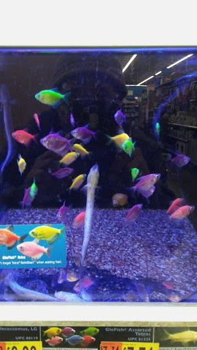 Department Store «Walmart Supercenter», reviews and photos, 1100 Old Philadelphia Rd, Jasper, GA 30143, USA