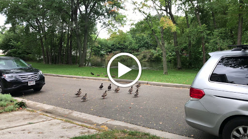 Park «Yahara Place Park», reviews and photos, 2025 Yahara Pl, Madison, WI 53704, USA