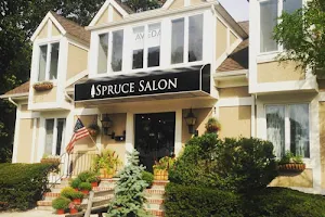 Spruce Salon & Spa image