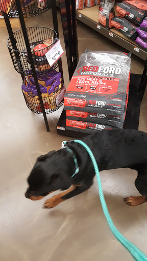 Pet Supply Store «Pet Supplies Plus», reviews and photos, 7954 Brewerton Rd #400, Cicero, NY 13039, USA