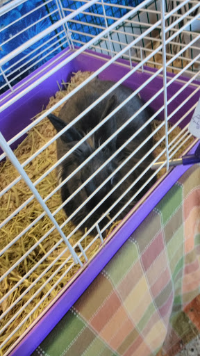 Pet Supply Store «Pet Partners», reviews and photos, 1962 W State St, Bristol, TN 37620, USA