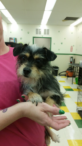 Pet Supply Store «Pet Supplies Plus», reviews and photos, 9143 Little Rd, New Port Richey, FL 34654, USA