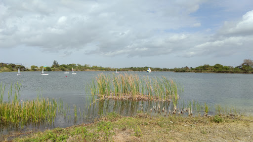 Water Park «Splash Adventure Water Park», reviews and photos, Quiet Waters Park Dr, Deerfield Beach, FL 33442, USA