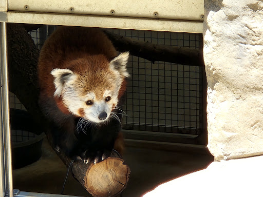 Zoo «Charles Paddock Zoo», reviews and photos, 9100 Morro Rd, Atascadero, CA 93422, USA