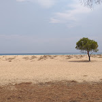 Photo n°1 de l'avis de Fausta.i fait le 24/08/2019 à 05:39 sur le  Su BarOne risto beach bar à Orosei