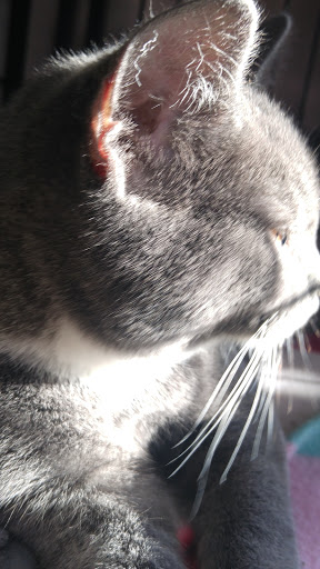 Pet Supply Store «Pet Valu», reviews and photos, 200 Biggs Blvd, Harrison, OH 45030, USA