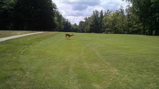 Golf Course «Black Brook Golf Course & Practice Center», reviews and photos, 8900 Lakeshore Blvd, Mentor, OH 44060, USA