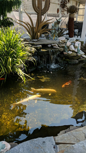 Pet Store «Farmer Girl Exotic Gardens», reviews and photos, 18940 Coastal Hwy, Rehoboth Beach, DE 19971, USA