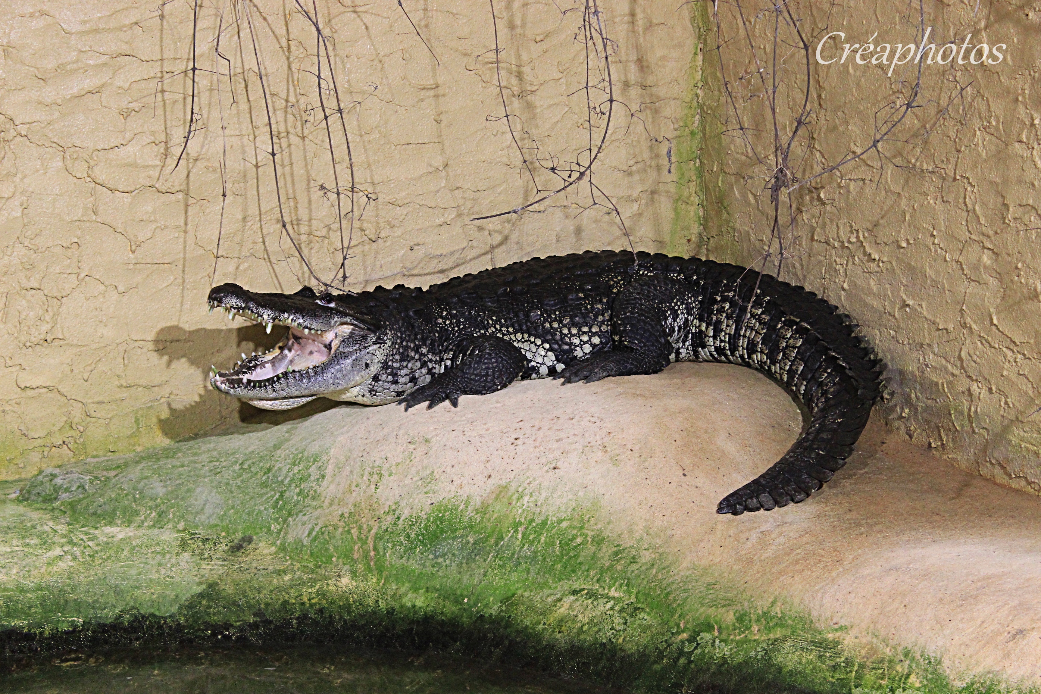 Photo n° 5 de l'avis de Amandine.r fait le 28/06/2021 à 15:42