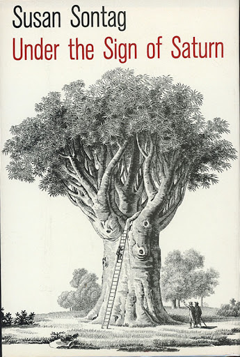 Book Store «Caliban Book Shop», reviews and photos, 410 S Craig St, Pittsburgh, PA 15213, USA