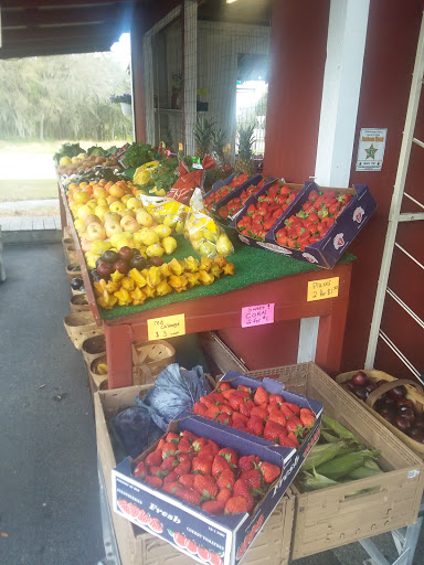 Produce Market «Crossroads Produce», reviews and photos, 10463-10487 S County Rd 39, Lithia, FL 33547, USA