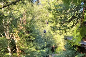 Rainforest Ropes & Zipline image