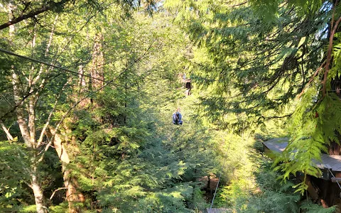 Rainforest Ropes & Zipline image