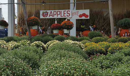 Farm «Dreyer Farms», reviews and photos, 831 Springfield Ave, Cranford, NJ 07016, USA