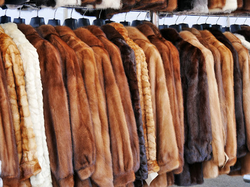 Fur service Bridgeport
