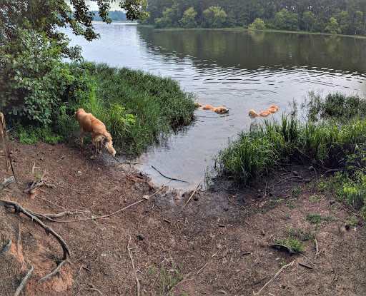 Tourist Attraction «South Shore Park», reviews and photos, 4555 Ragsdale Rd, Acworth, GA 30101, USA