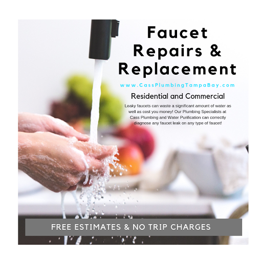 Plumber «Cass Plumbing, Inc.», reviews and photos, 4808 N Hubert Ave, Tampa, FL 33614, USA