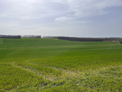 Santer'vet SCP à Montdidier
