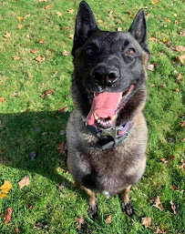 Porter Road Pet Care, Inc. - Photo 8 - Car repair in East Longmeadow, MA, Springfield