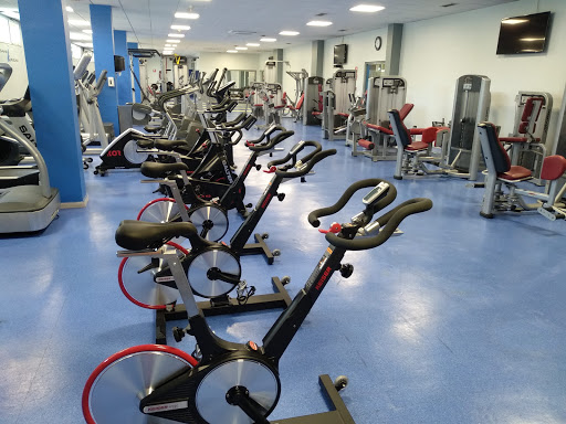 Artunduaga kiroldegia - Basauri Kirolak en Basauri, Vizcaya