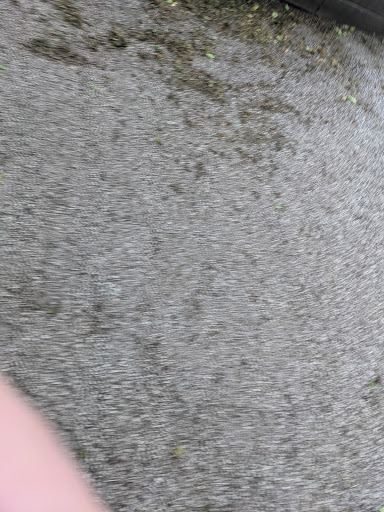 Dog Park «Wiggly Field Dog Friendly Area», reviews and photos, 2645 N Sheffield Ave, Chicago, IL 60614, USA