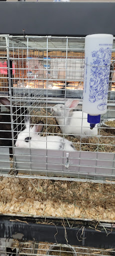 Department Store «Rural King», reviews and photos, 3201 IN-45, Bloomington, IN 47403, USA