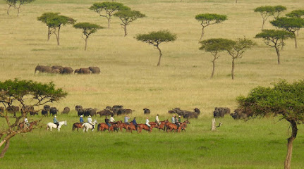 Africa Horse Tours