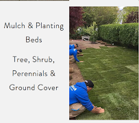 Mavilla Landscaping - Photo 5 - Car repair in , Bridgeport