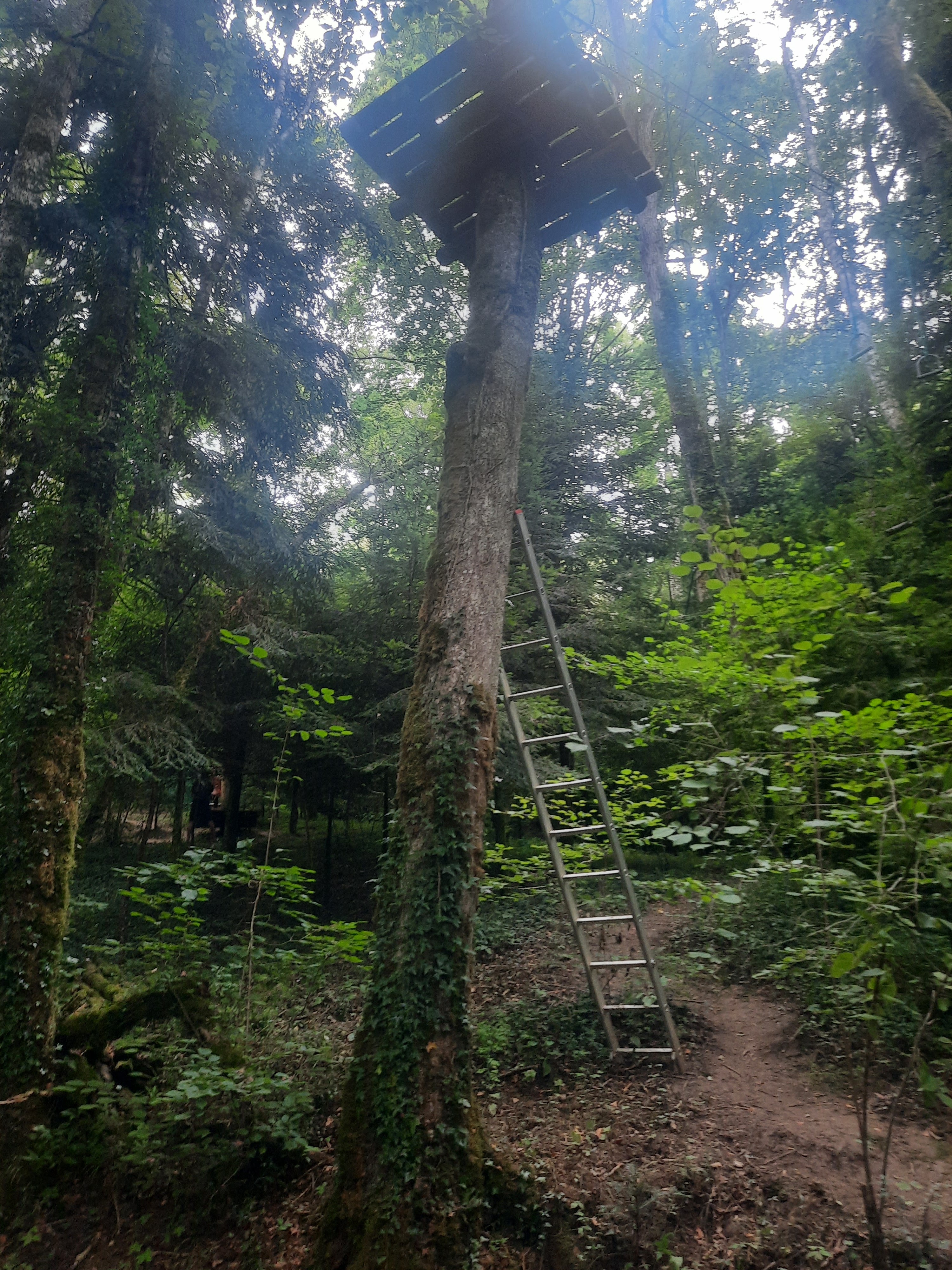 Photo n° 31 de l'avis de DIMA.A fait le 15/08/2021 à 16:23