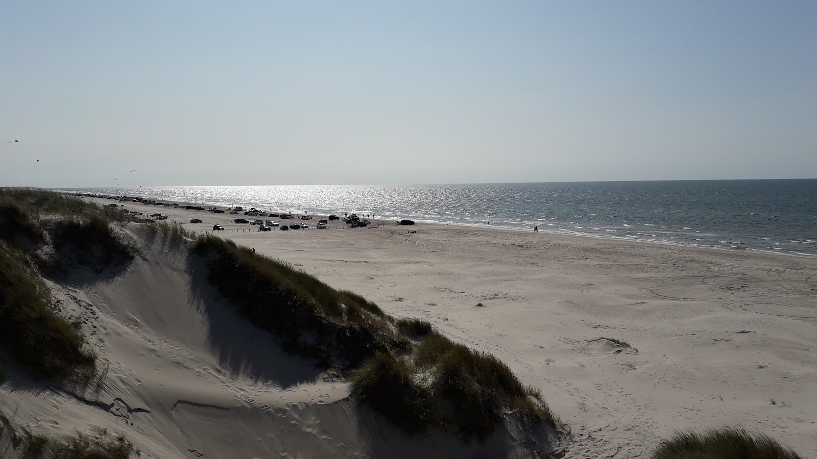 Børsmose Strand'in fotoğrafı - tatil için iyi evcil hayvan dostu nokta