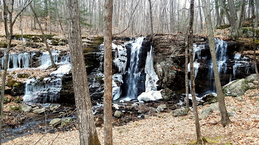 Tourist Attraction «Black Ledge Falls», reviews and photos, Hebron Ave, Glastonbury, CT 06033, USA