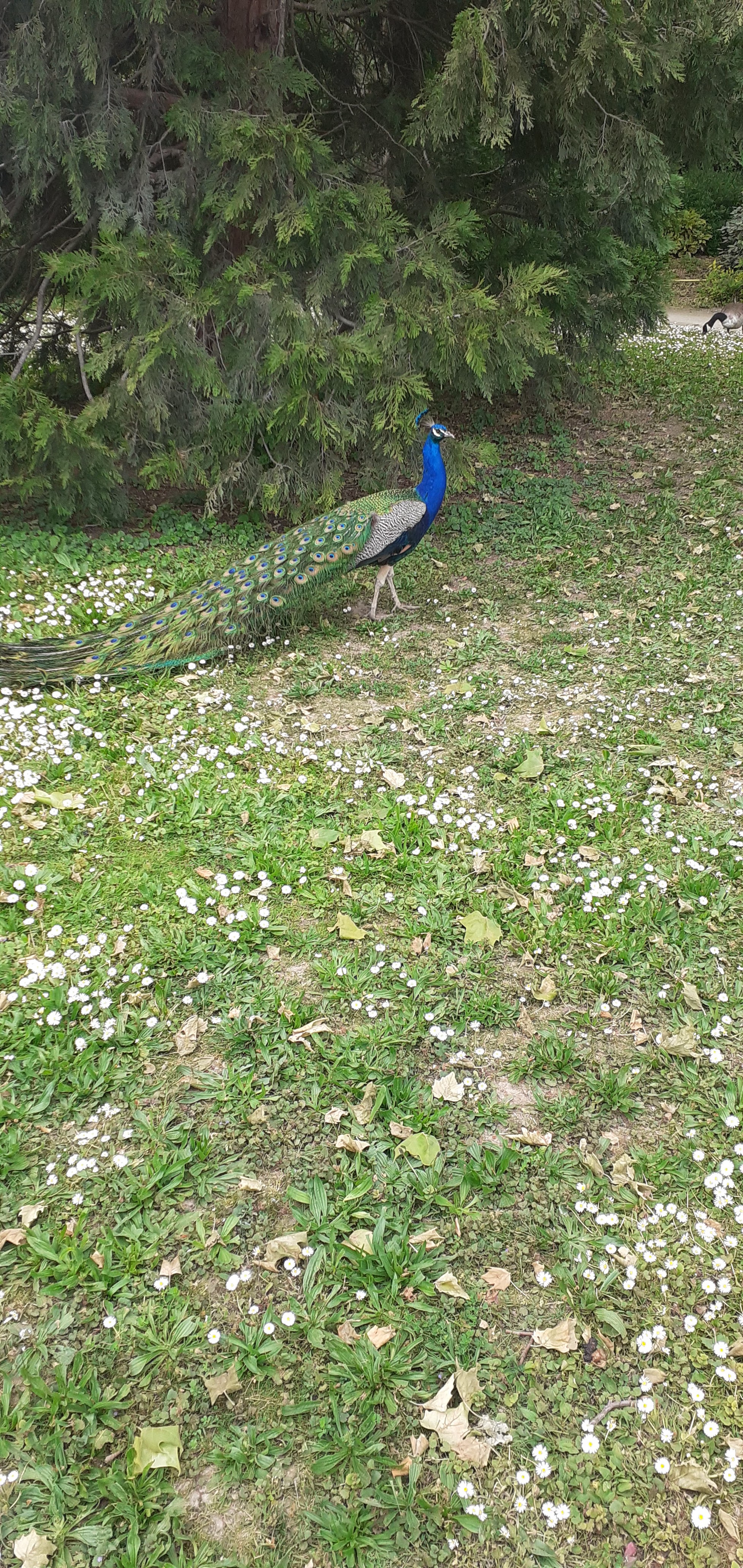 Photo n° 2 de l'avis de christopher.o fait le 20/10/2023 à 14:36