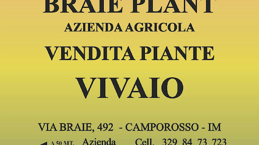Braie plant Via Braie, 492, 18033 Camporosso IM, Italia