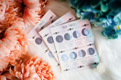 Book Store «Mimosa Books & Gifts», reviews and photos, 260 W Gilman St, Madison, WI 53703, USA