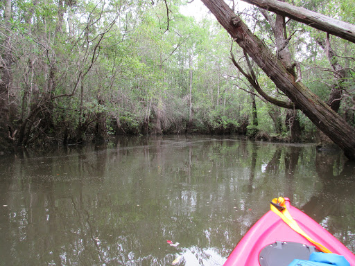 Fishing Camp «Becks Lake Fish Camp», reviews and photos, 2020 Becks Lake Rd, Cantonment, FL 32533, USA