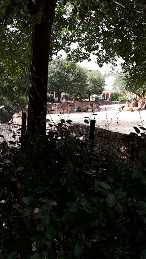 Zoo «Houston Zoo - West Gate», reviews and photos, 1467 Cambridge St, Houston, TX 77030, USA