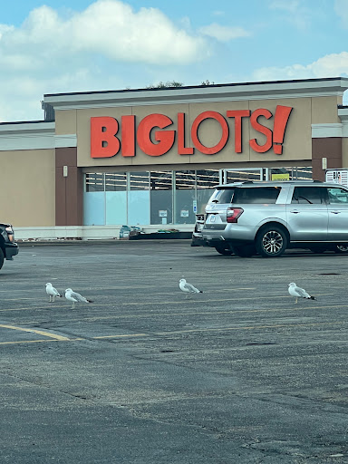Big Lots, 1608 N Larkin Ave, Crest Hill, IL 60435, USA, 