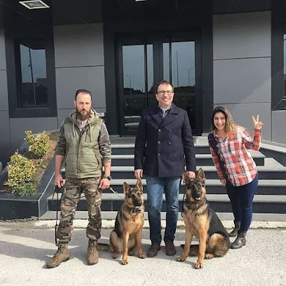 Positive Köpek Eğitim Akademisi A.Ş. Ankara