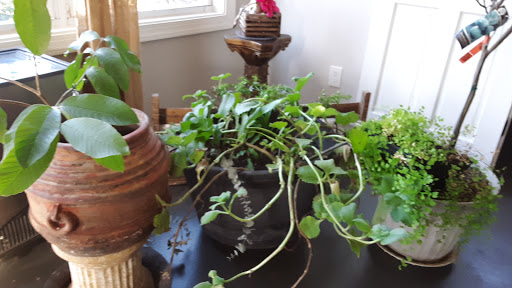 Wedding Venue «Rancho Alegre Farm», reviews and photos, 2225 Givens Rd, Dacula, GA 30019, USA