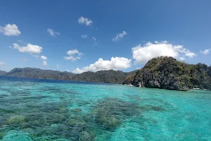 Smith Coral Garden image